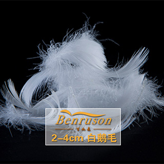 厂家直销羽绒羽毛白鹅毛羽毛2-4cm批发沙发抱枕填充物